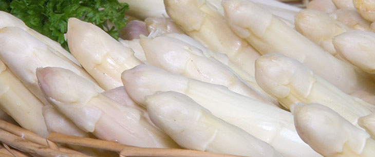 Spargelpflanzenrodung