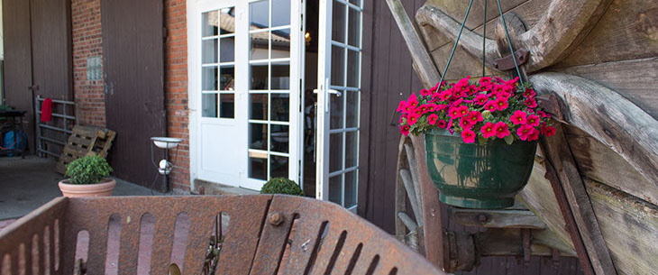 Spargelpflanzenrodung